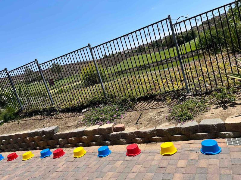 Photo of Buzy Beez Daycare - Oceanside, CA