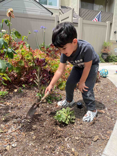 Photo of Sunflower Daycare - Orange, CA