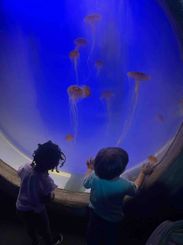 Photo of Tracey’s Daycare - Danbury, CT