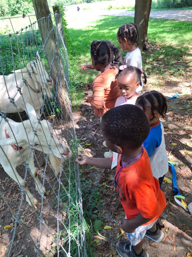 Photo of Blessed Hands Changing Lives Daycare - Queens, NY