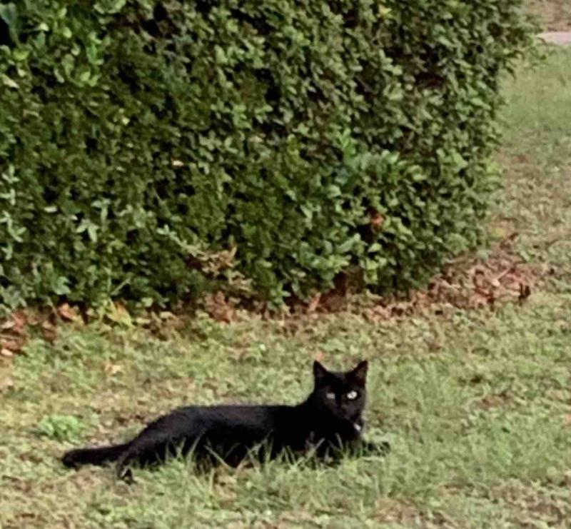 Photo of Maria P. - Pen, FL