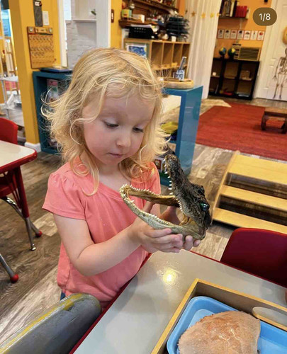 Photo of Wilburton Montessori Preschool - Bellevue, WA