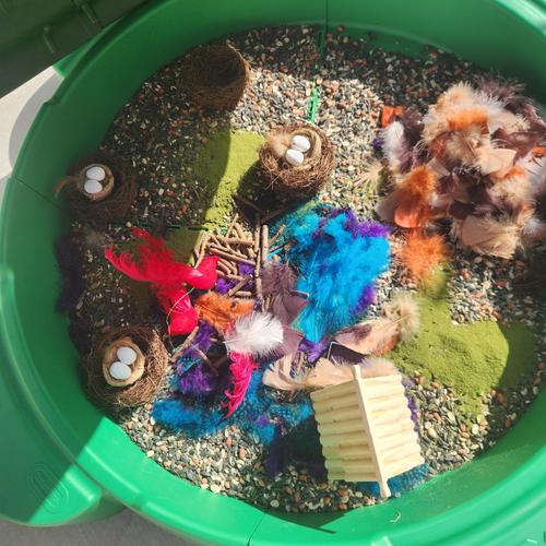 Photo of Safari Cubs Daycare - Antelope, CA