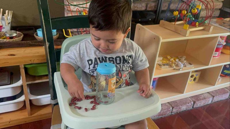 Photo of Apple Tree  Montessori Home Preschool & Childcare - San Jose, CA