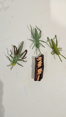 Photo of My Kids Klub - Livermore, CA