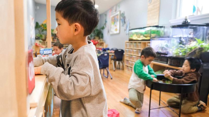Photo of Global Early Learning - Bellevue, WA