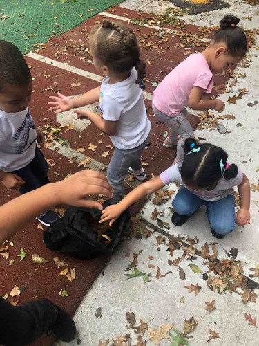 Photo of Orquidea Jimenez Group Family Day Care Daycare - Brooklyn, NY