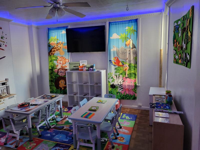 Photo of The Blue Hippo Daycare - Brooklyn, NY