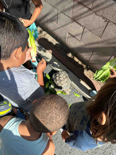 Photo of Garcia-Estrada Family Childcare - Corona, CA