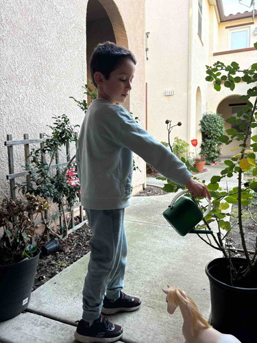 Photo of The Nest At Elk Grove - Elk Grove, CA