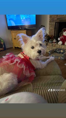 Photo of Maria P. - Pen, FL