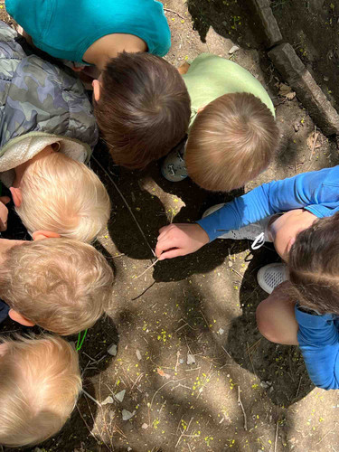 Photo of Tia Gi Bilingual Family Daycare - Belmont, MA