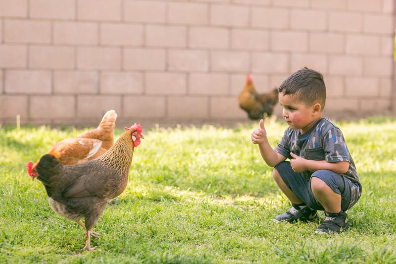 Photo of Diaz Family Child Care Daycare - West Covina, CA