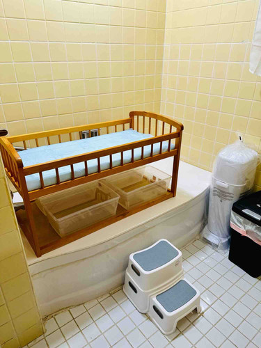 Photo of Danys Little House - Syracuse, NY