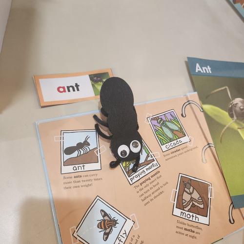 Photo of All My Angel's Childcare, LLC - Baltimore, MD