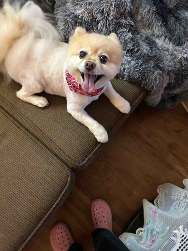 Photo of Maria P. - Pen, FL