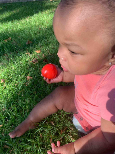 Photo of Fun house childcare - Carson, CA