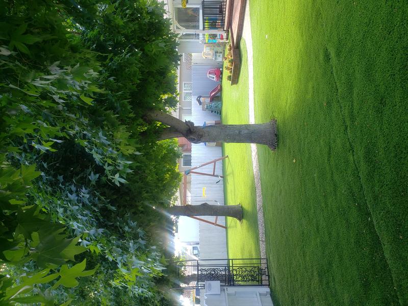 Photo of Blossom Day Care - Hayward, CA