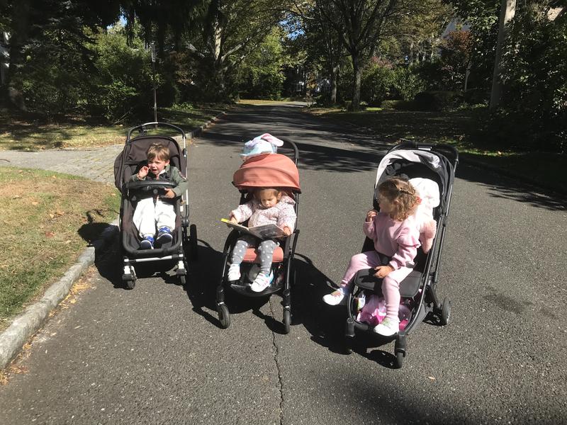 Photo of Melisa P. - New York, NY