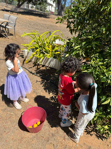 Photo of Monica's Family Child Care - San Marcos, CA