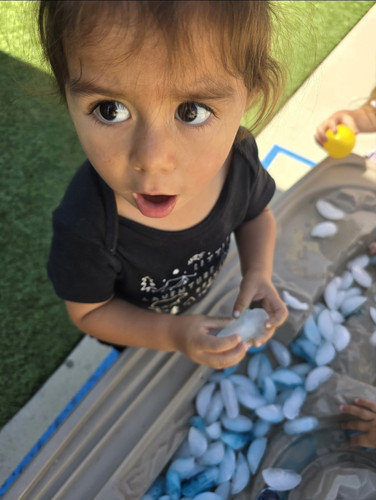 Photo of Sauceda, Maria Family Child Care - Vista, CA