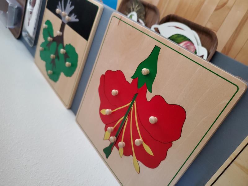 Photo of Sunrise Montessori - Auburn, WA