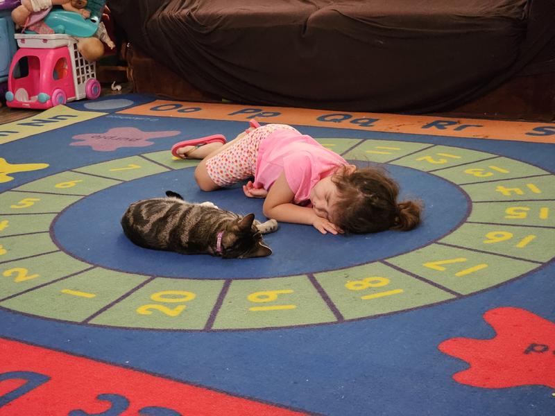 Photo of Beccas Buccaneers - Bakersfield, CA