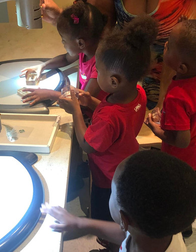 Photo of Educated Adventures LLC Daycare - North Chicago, IL