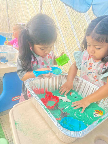 Photo of Winner Of Knowledge Inc - Staten Island, NY