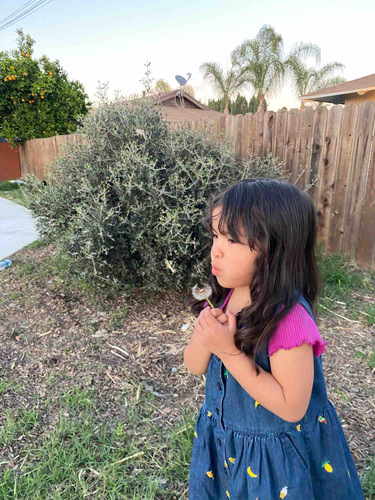 Photo of Montiel Family Childcare - Pico Rivera, CA