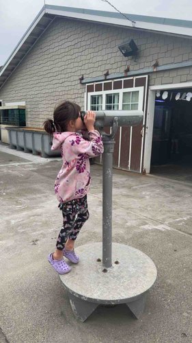 Photo of Ibrahim Fowsiya A Daycare - Federal Way, WA