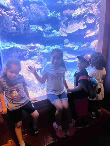 Photo of Cano Family Daycare - Los Angeles, CA