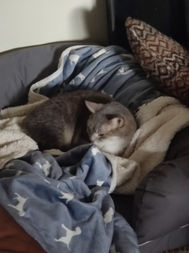 Photo of Lauren W. - North Bend, WA