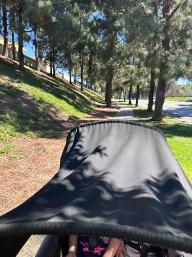 Photo of Wild Blooms Childcare - Chula Vista, CA