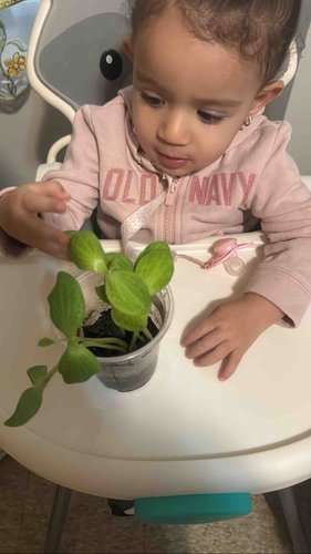 Photo of Elian Daycare LLC Daycare - Yonkers, NY