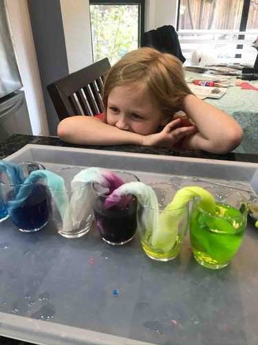 Photo of First Steps Early Education And Child Care - Rancho Cordova, CA