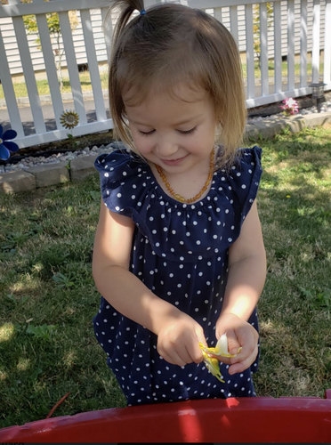 Photo of Lisa's Little Angel's Daycare & Preschool Daycare