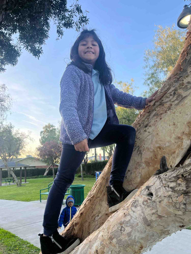 Photo of Palmer Family Childcare Daycare - Paramount, CA