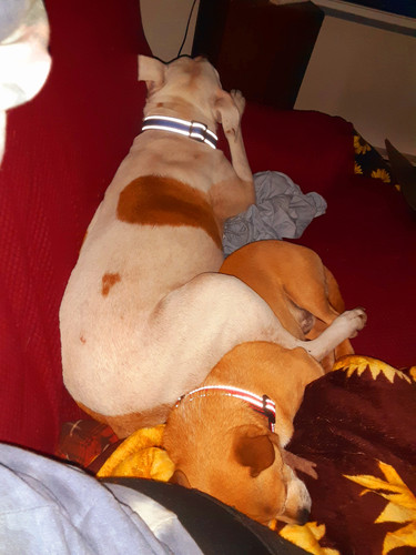 Photo of Brandi S. - Longview, WA