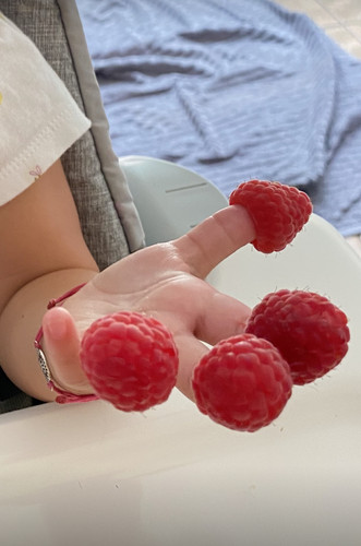 Photo of Kimberly K. - St. Charles, MO