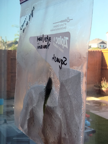 Photo of Stepping Stones Preschool & After-School Care - Stockton, CA