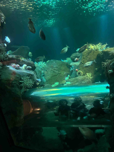 Photo of Wishing On A Star Daycare - Jamaica, NY