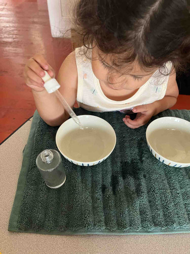 Photo of Sunny Wells Montessori Daycare - Pomona, CA