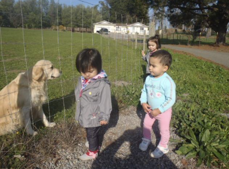 Photo of Little Treasure Childcare Preschool - Penngrove, CA