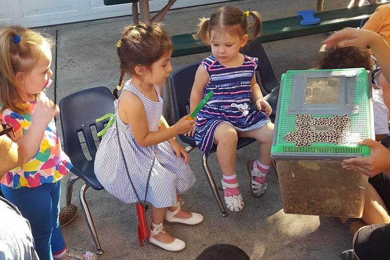 Photo of West Hollywood Children's Academy Daycare - West Hollywood, CA