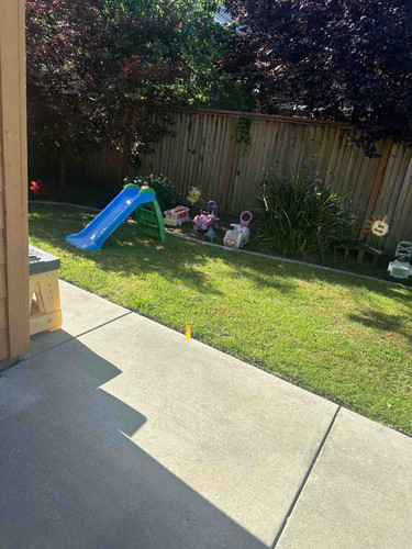 Photo of Teddy’s Bear  Daycare - Santa Rosa, CA