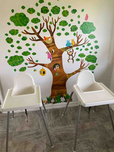 Photo of Family Tree - Petaluma, CA