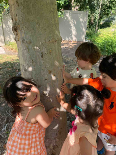 Photo of Sunflower Daycare - Orange, CA