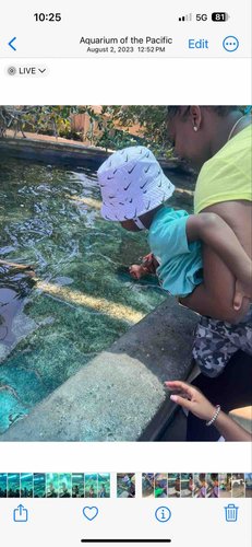 Photo of Majied Family Childcare - Bellflower, CA