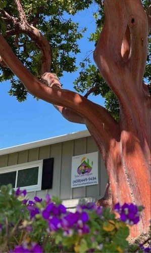 Photo of Future Star Daycare - San Jose, CA